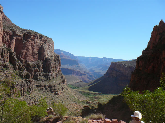 images/B- Mule Ride, riding down in to Grand Canyon (13).jpg